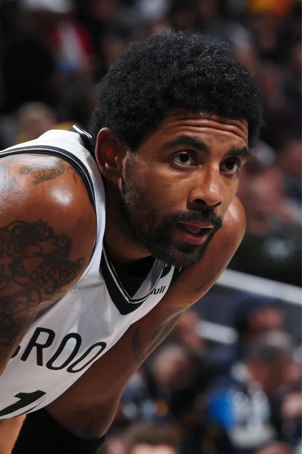 在美股体育 在美股体育